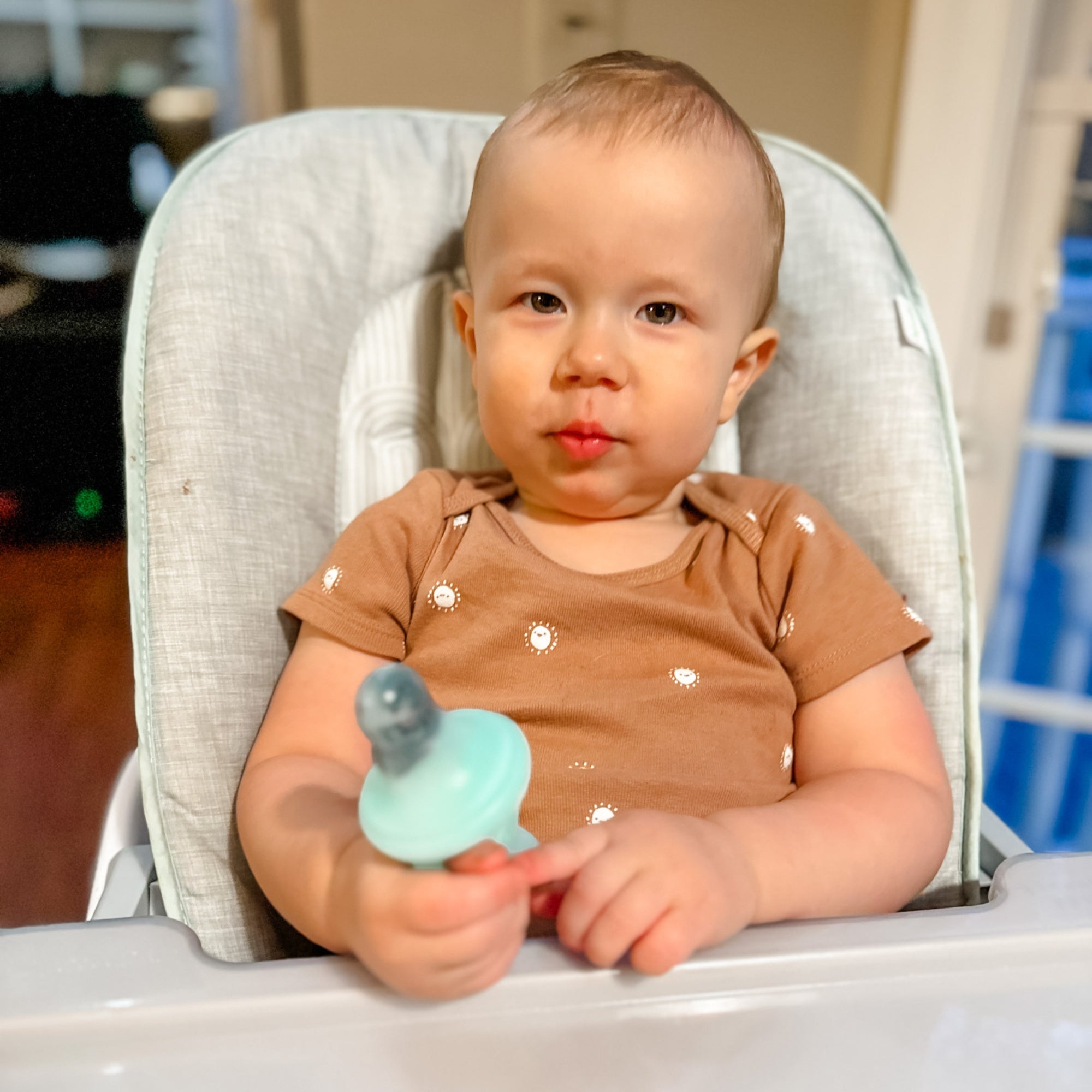 Vesta Baby Fruit Feeder - 2 Sizes Soft Silicone Freezable Fresh Food Nibbler For Safe Infant Self Feeding - Solid Foods Weaning Pacifier & Teether Set - Bunny Teething Toy For Babies 4M+